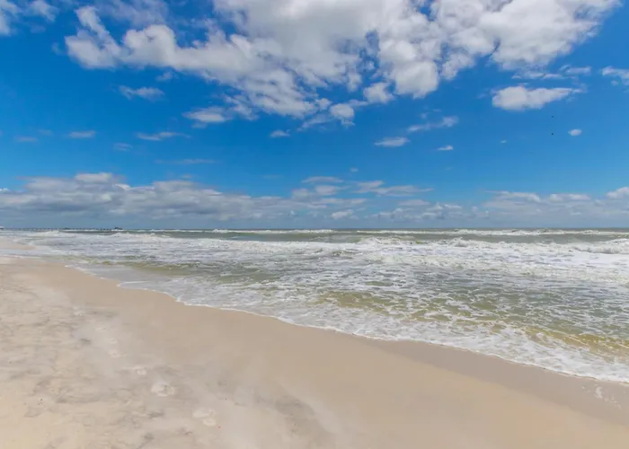 San Carlos 302 Gulf Shores